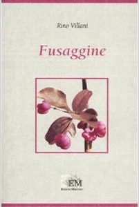 Fusaggine